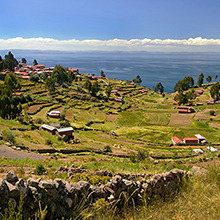 Peruvian pisco image
