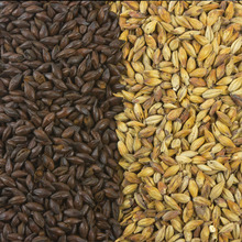 Barley Wine image