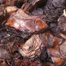 Tequila - How is tequila made and what from? image