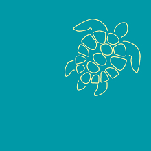 Tortuga Brands image