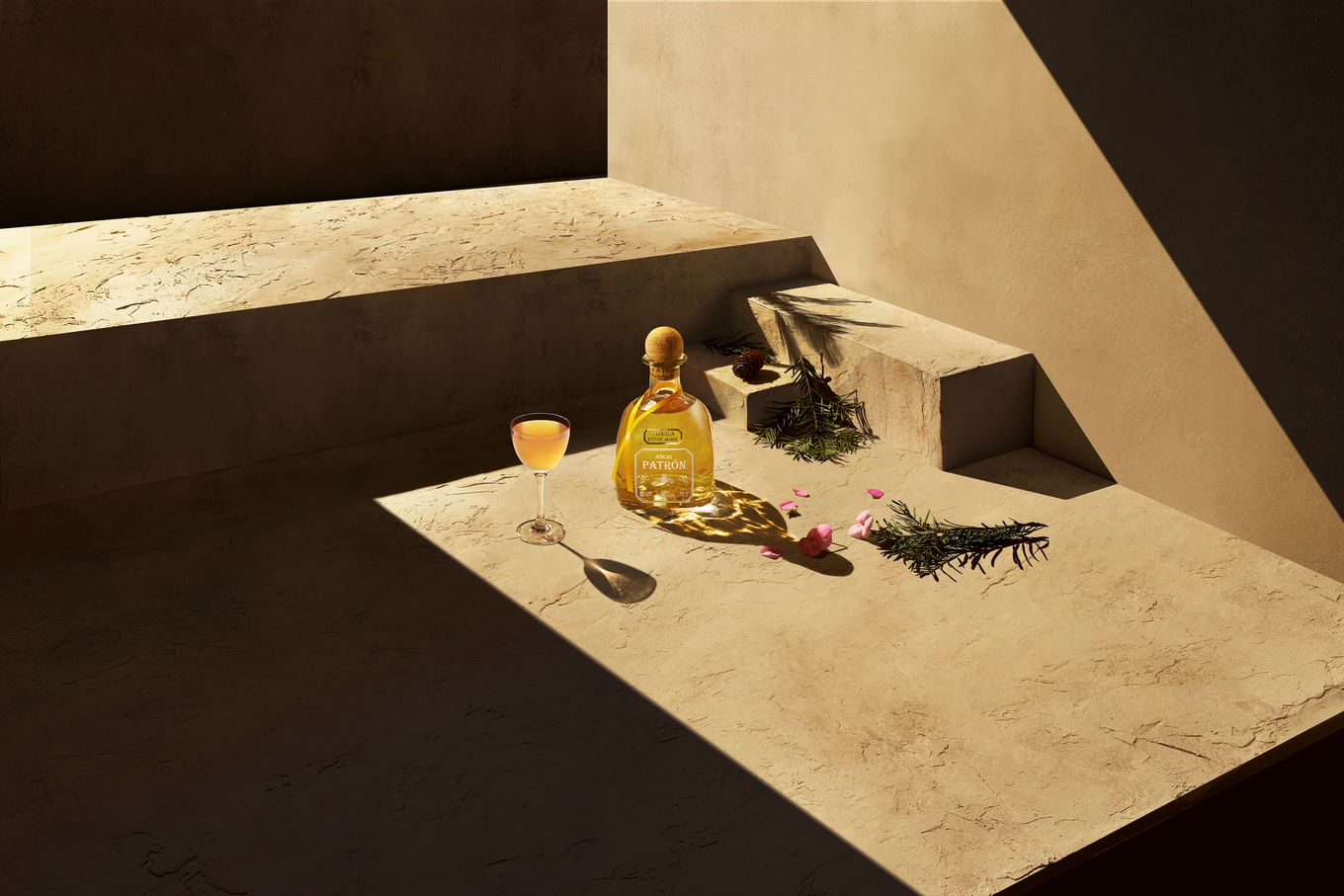 ency 70 image