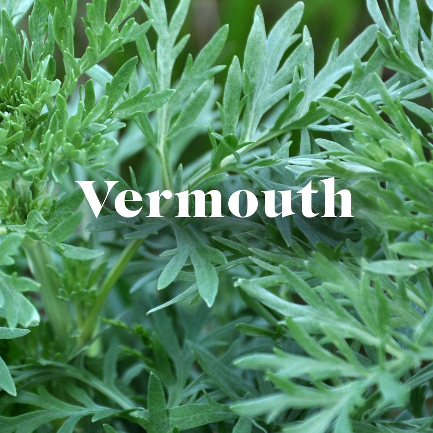 Vermouth cocktails image
