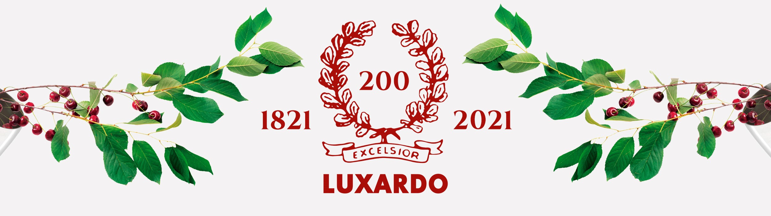 Luxardo Sour Cherry Bitters